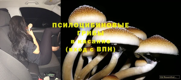 прущая мука Алзамай