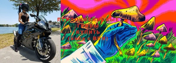прущая мука Алзамай